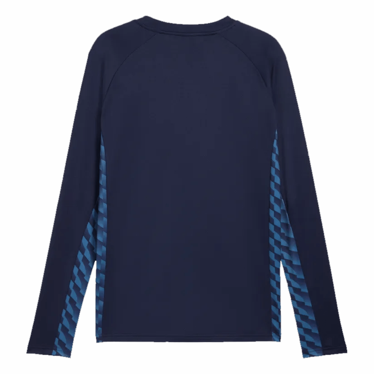Puma teamLIGA26 Training Sweat
