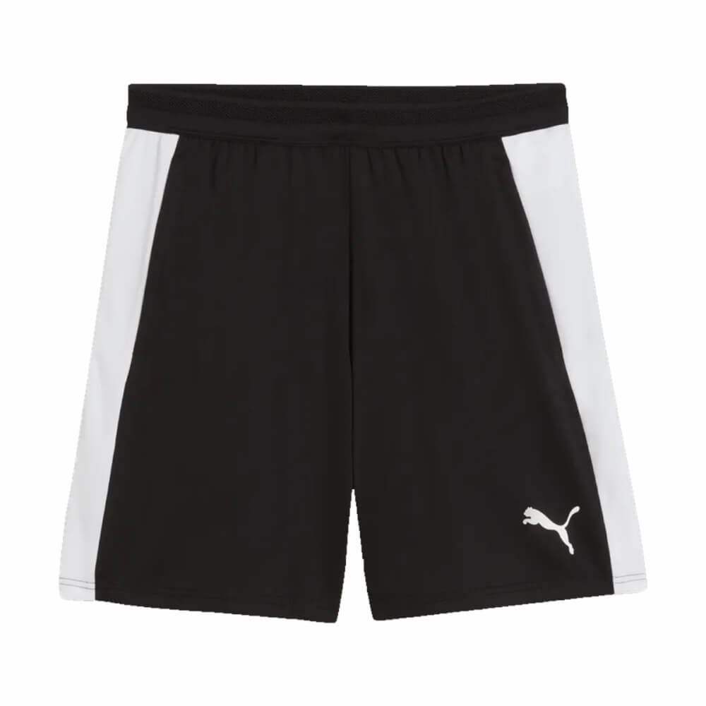 Puma teamFINAL26 Training Shorts