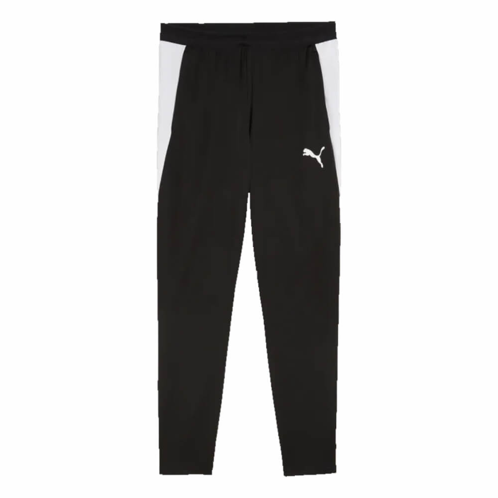 Puma teamFINAL26 Training Pants