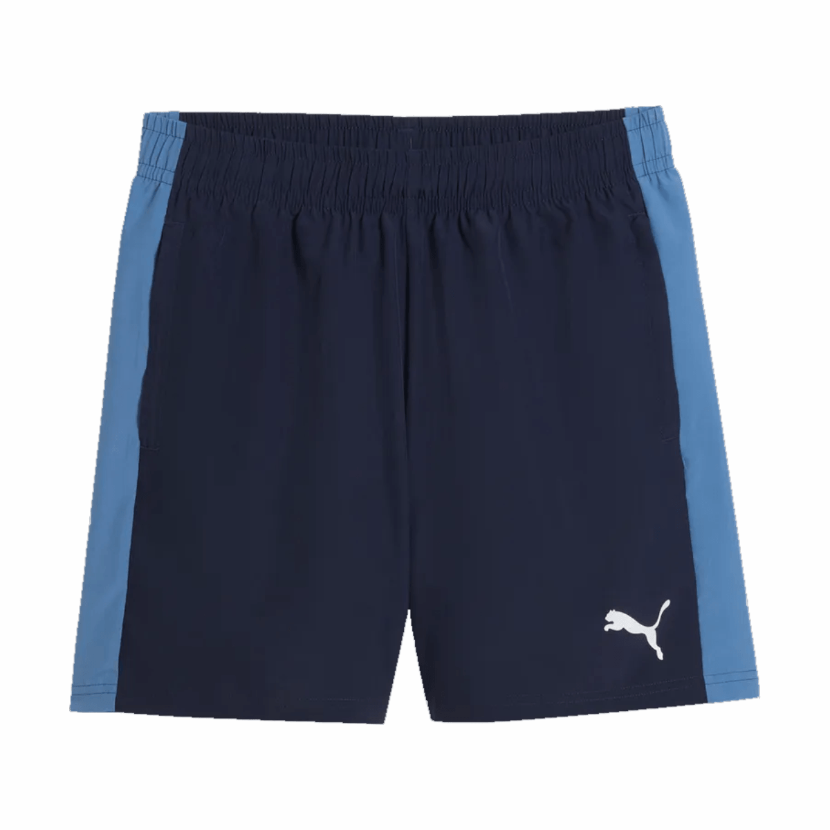 Puma teamLIGA26 Sideline Shorts