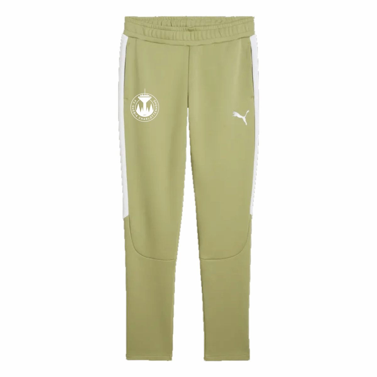Puma teamEVOSTRIPE Pants - Herren