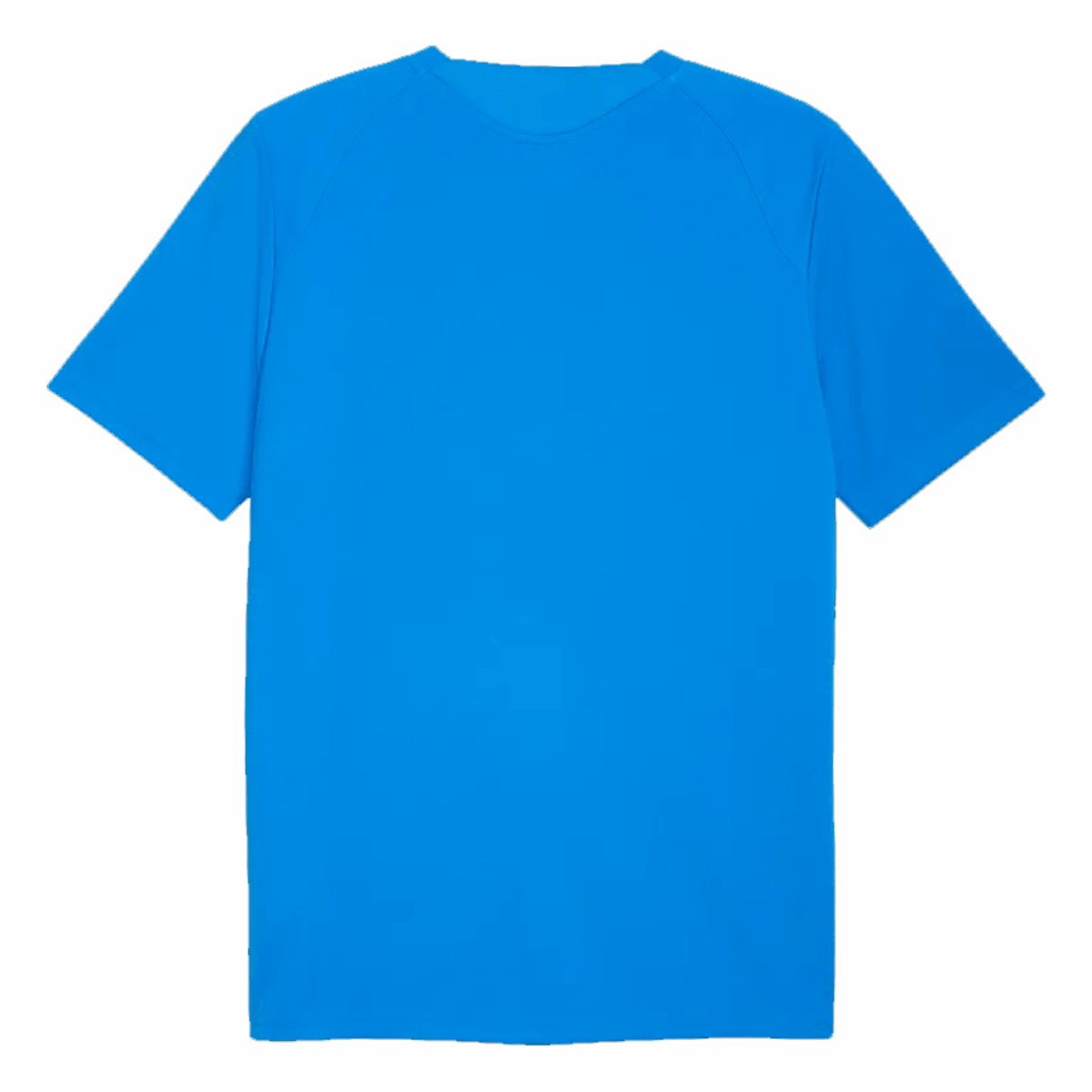 Puma teamFINAL26 Training Jersey